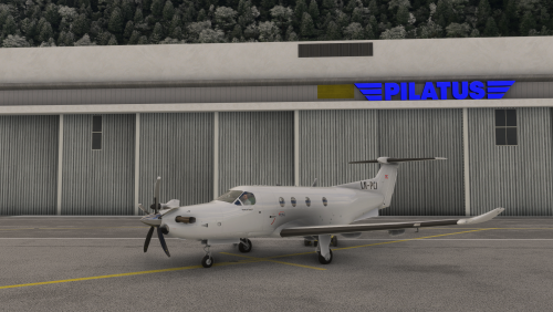 More information about "SWS PC-12 Legacy"